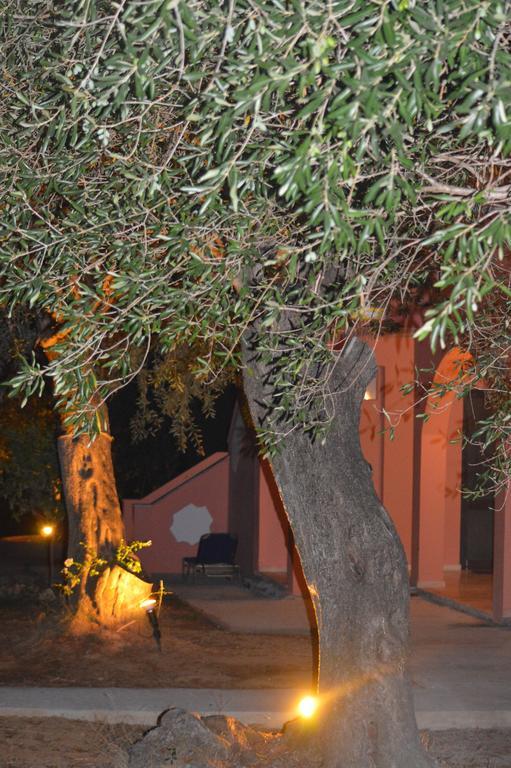 Elaia Resorts Perama  Rum bild
